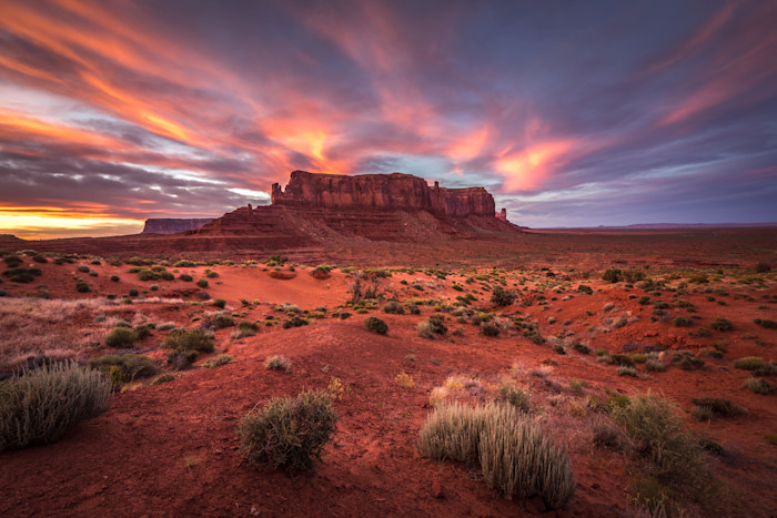 Arizona